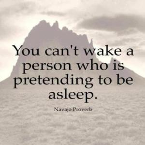 You can't wake a person who is pretending to be asleep